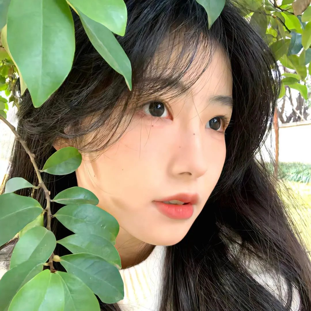 肥妹